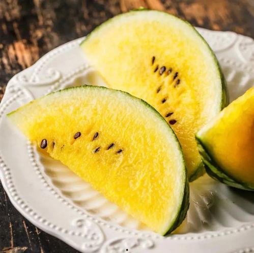 燕子吃瓜,揭秘鸟类美食背后的趣味故事