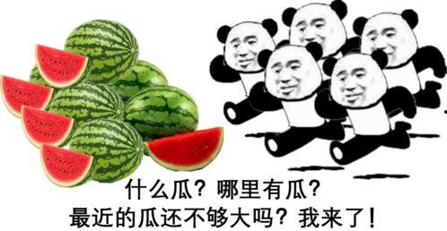 上头吃瓜,揭秘娱乐圈幕后真相