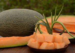 喂猪吃哈密瓜,独特喂养新风尚