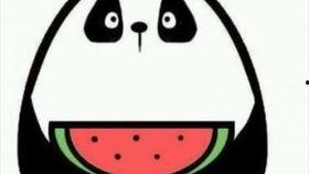 微信8.0 吃瓜,吃瓜神器，轻松追踪热点事件