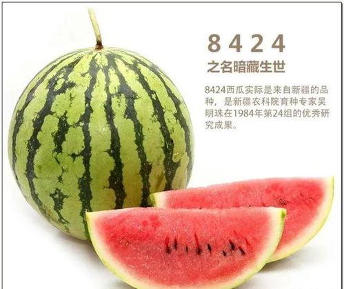 大林子吃瓜爆料,娱乐圈那些不为人知的瓜料大揭秘