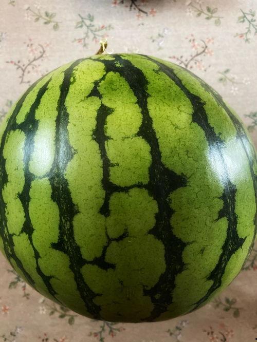 吃瓜系列表演,揭秘娱乐圈幕后故事