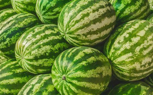 万科里吃瓜,吃瓜群众的欢乐盛宴