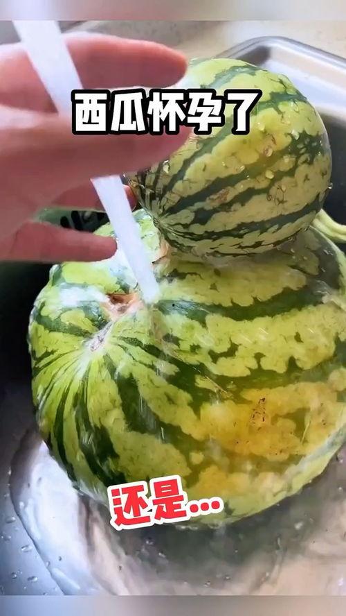 吃咸瓜视频,揭秘美食背后的故事与魅力