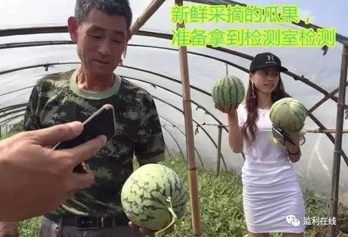 吃瓜直播老头,揭秘老头们的娱乐新天地