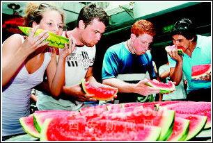 老外免费吃瓜视频,一场视觉盛宴的狂欢