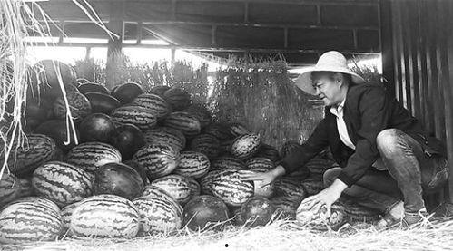 吃瓜群众张骞,穿越丝绸之路的吃瓜群众传奇