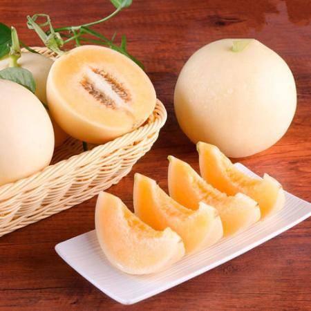 孕妇可以吃浙江白脆蜜瓜