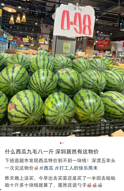 东莞吃瓜的视频,揭秘当地美食文化盛宴