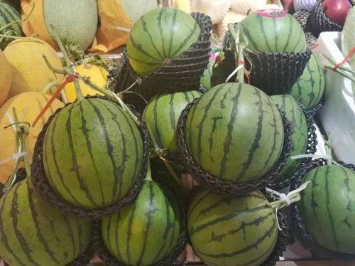 正一吃瓜,揭秘娱乐圈那些不为人知的幕后故事