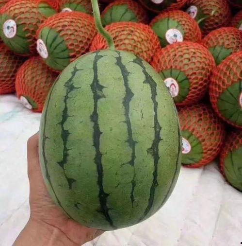 吃瓜聊天记最新,揭秘娱乐圈幕后故事