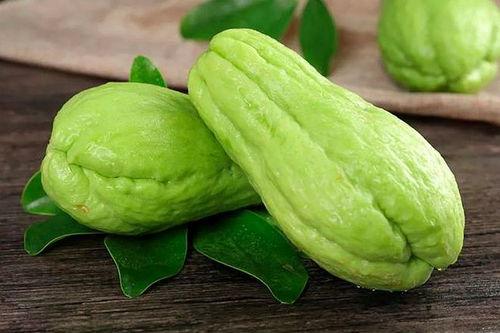 吃瓜种子6,一场关于网络热点的深度探讨