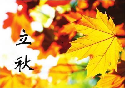 谚语关于立秋吃瓜的,探寻民间谚语中的立秋食俗