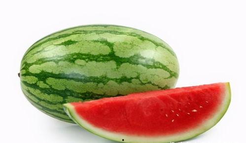 长垣胖女吃瓜,揭秘网络热议背后的真相与反思