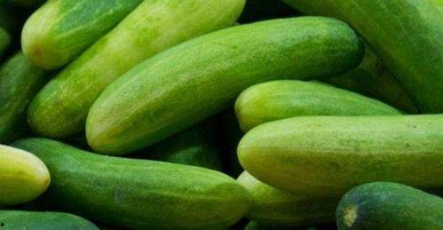 长垣胖女吃瓜,揭秘网络热议背后的真相与反思