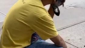 戴上面具吃瓜,揭秘戴上面具的神秘吃瓜之旅