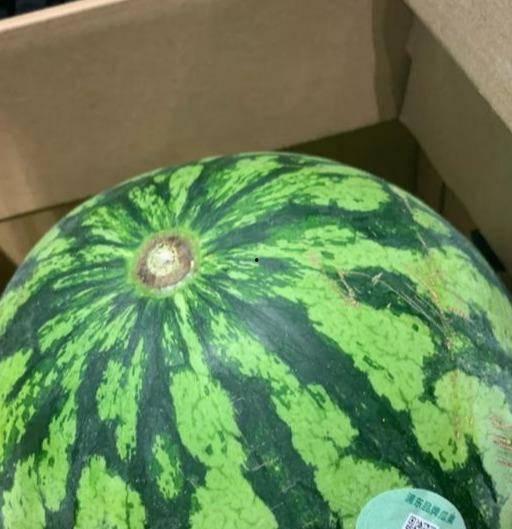 真假吃瓜视频大全