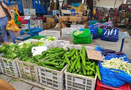 吃瓜摆摊,揭秘摆摊文化背后的烟火人生