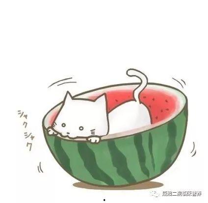 吃瓜头像怎么回复,网络潮流背后的社交心理 第1张 吃瓜头像怎么回复,网络潮流背后的社交心理 第1张