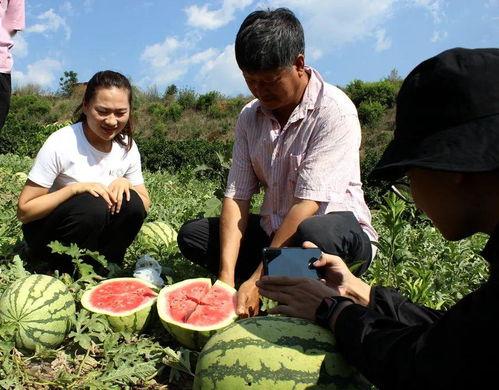 户外吃瓜群众,见证街头百态,捕捉人间烟火 第1张 户外吃瓜群众,见证街头百态,捕捉人间烟火 第1张