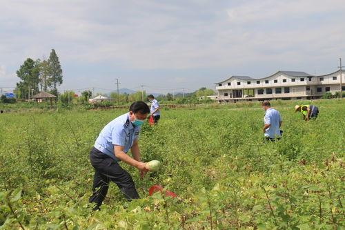 户外吃瓜群众,见证街头百态,捕捉人间烟火 第2张 户外吃瓜群众,见证街头百态,捕捉人间烟火 第2张