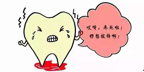 牙疼吃三白瓜,牙疼时的天然止痛良方 第3张 牙疼吃三白瓜,牙疼时的天然止痛良方 第3张