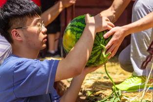 双象吃瓜视频,揭秘娱乐圈幕后风云 第1张 双象吃瓜视频,揭秘娱乐圈幕后风云 第1张