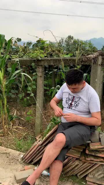 偷瓜被抓吃瓜怎么处罚 第3张 偷瓜被抓吃瓜怎么处罚 第3张