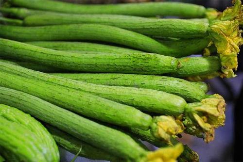 宝尊吃瓜  第3张