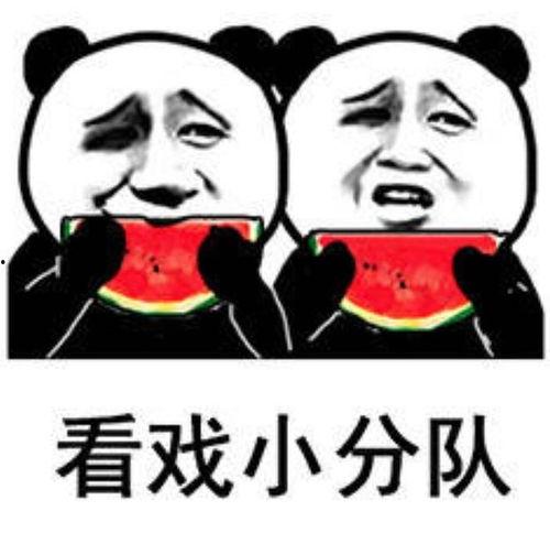 520吃瓜表情包,表情包带你领略年度趣味盛宴 第2张 520吃瓜表情包,表情包带你领略年度趣味盛宴 第2张