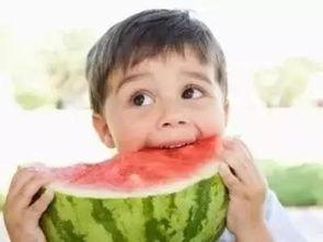 吃瓜是专注吗,揭秘网络时代的“专注”现象